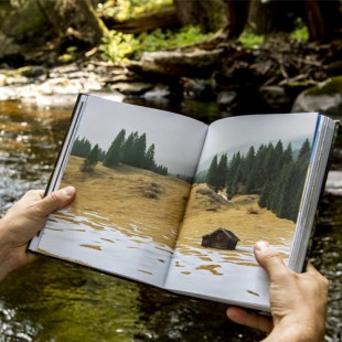 Час экологии «Я с книгой открываю мир природы»