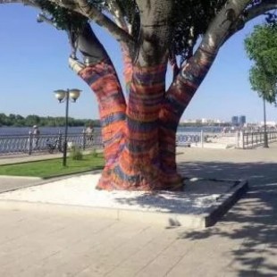 Деревья возле Шаумянки приобретут модные и полезные «наряды»