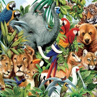 День информации «Тропою мира – в мир животных»