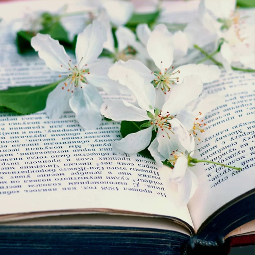 Час информации «Как наше слово отзовется»