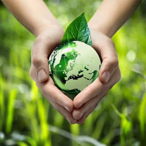 Экодень «Беречь природы дар бесценный»