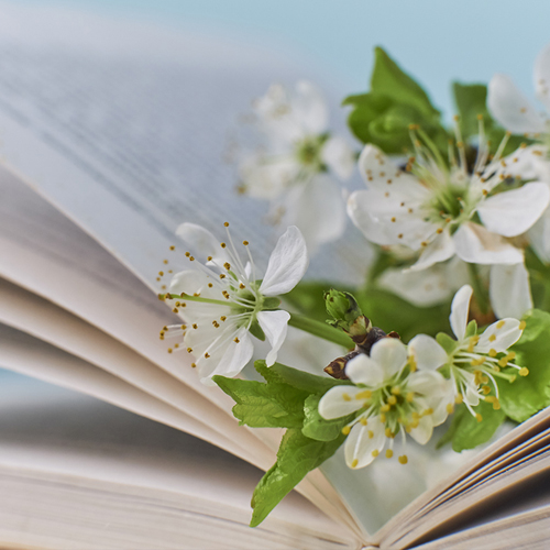 День информации «Поэзия как музыка души»