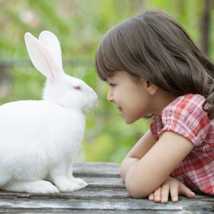 Литературно-игровая программа «По следам белого кролика»