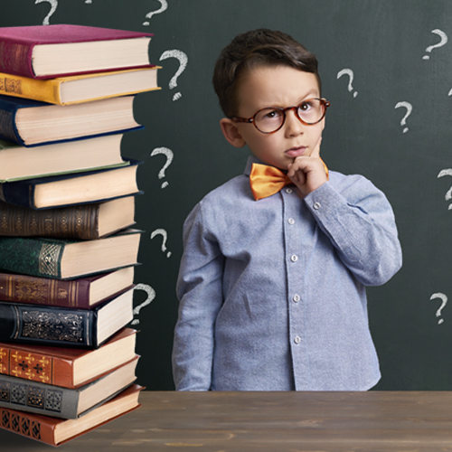 Библиографический экскурс «Путеводители по стране знаний»