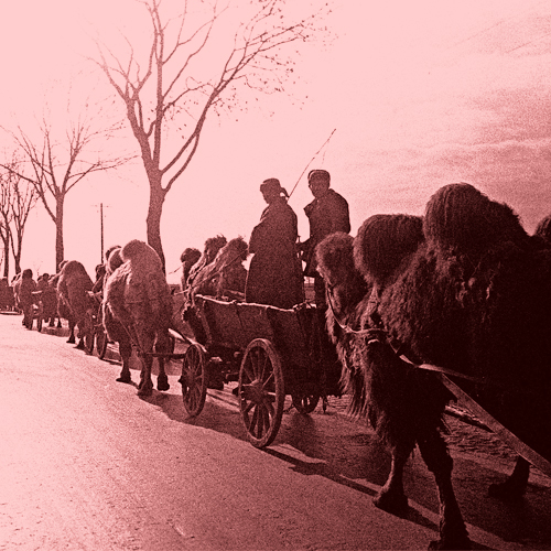 Интерактивный обзор «Астрахань ‒ город доблести и славы»