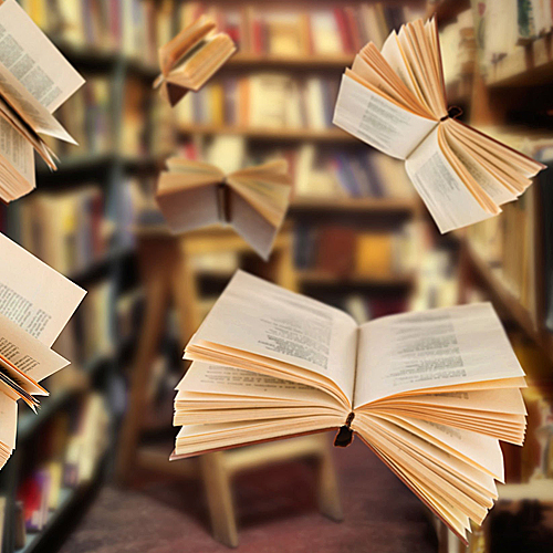 Час информации «Нередкий случай, или Есть права у редкой книги»