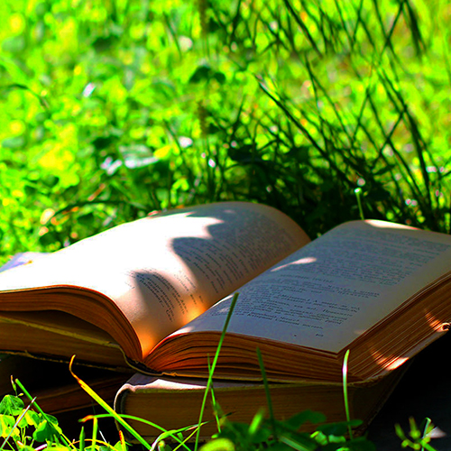 Возобновляется проект «Лето с книгой»