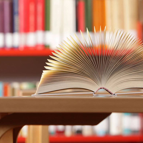 Конкурс профессионального мастерства «БиблиоНика» 2022