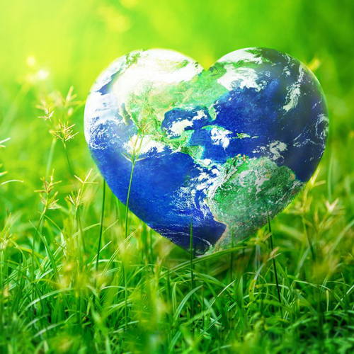 День информации «Только одна Земля»