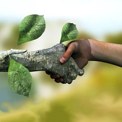 Интерактивная игра «Будь другом всему живому»