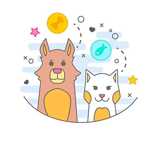 Познавательный час «Загадки и тайны домашних животных»