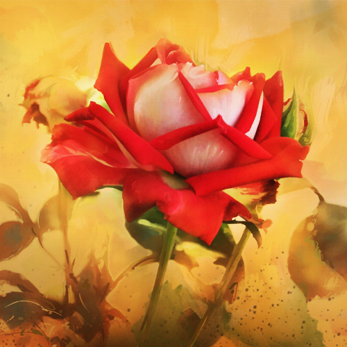 Викторина «Цветочный вернисаж»