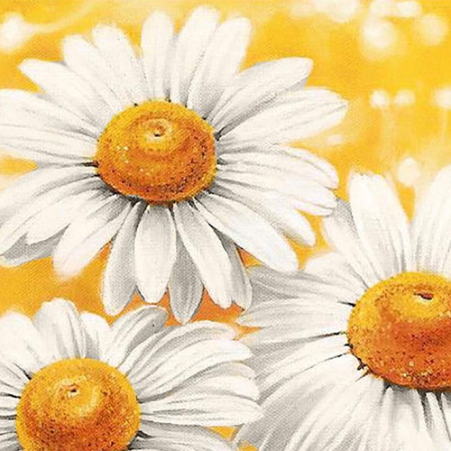 Библиомастерская «Ромашковое настроение»