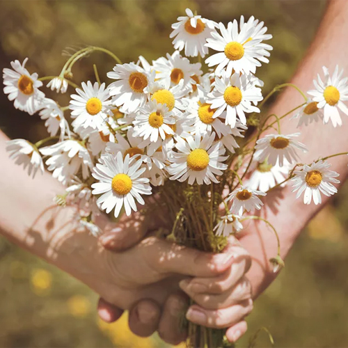 Литературный букет «Ромашковая Русь»