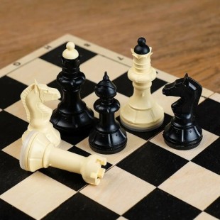 Турнир любителей шахмат