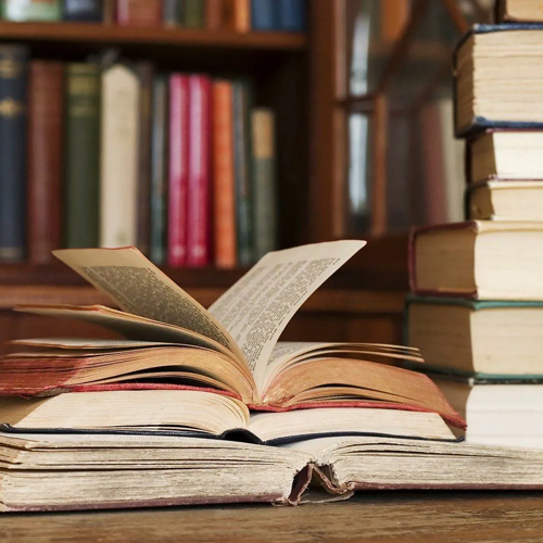 Интерактивная беседа «Где живут книги»