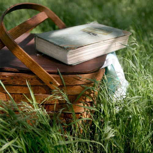 Библиопикник «Чтение без принуждения!»