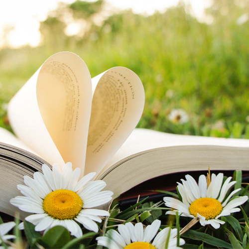 Книжная радуга «Летние дни с детской литературой»