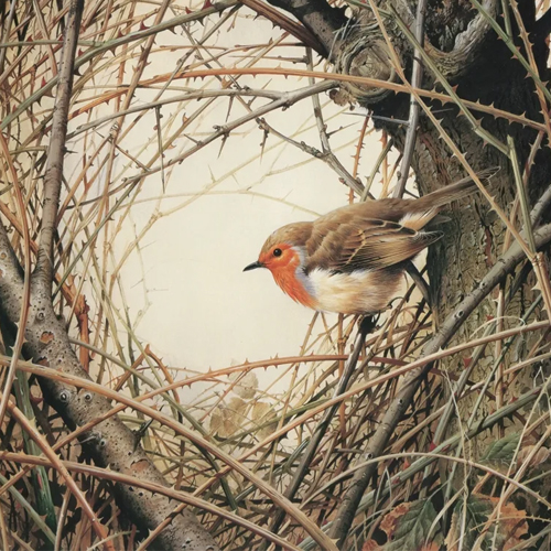 «Портрет одной книги. История трагической любви»