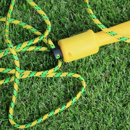 День физкультурника «У книжной полки»