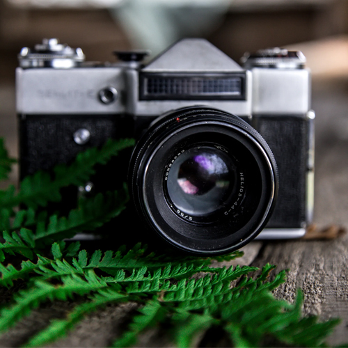 Фотоконкурс «Мой чудозверик»