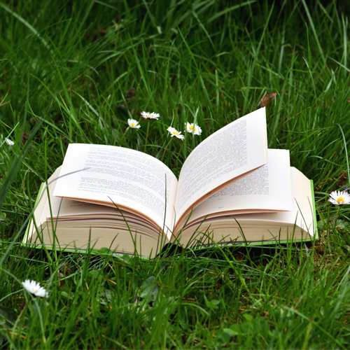 Литературно-игровое ассорти «Лето красное пропела!..»