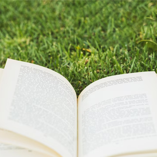 Творческая площадка «Библиотечный open-air»